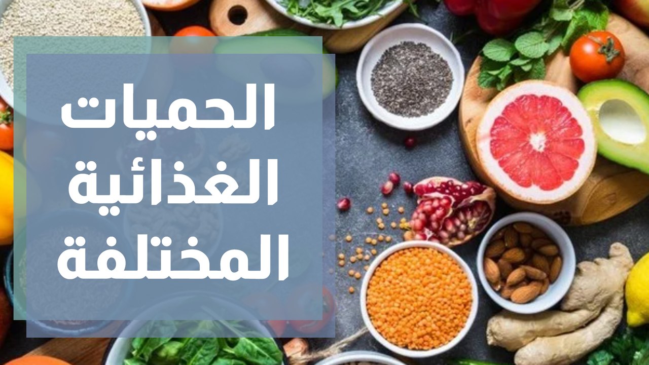 الإجابة على أسئلة الناس عن الحميات الغذائية المختلفة