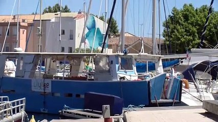 Balade sur les canaux Martegaux