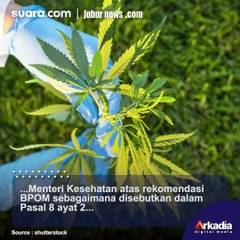 Legalisasi Ganja untuk Medis Dikhawatirkan Bisa Tingkatkan Kasus Narkoba