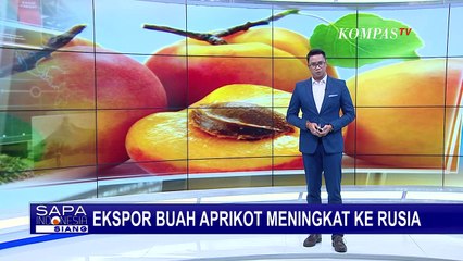 Ekspor Aprikot dari Armenia ke Rusia Meningkat, Sekitar 20.000 Ton Buah Aprikot Berhasil Diekspor