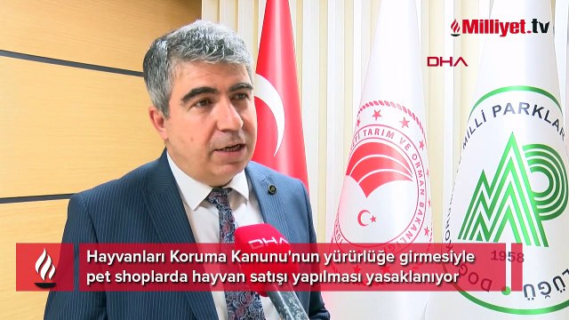 Vitrinde kedi- köpek satışında son günler! Geri sayım başladı