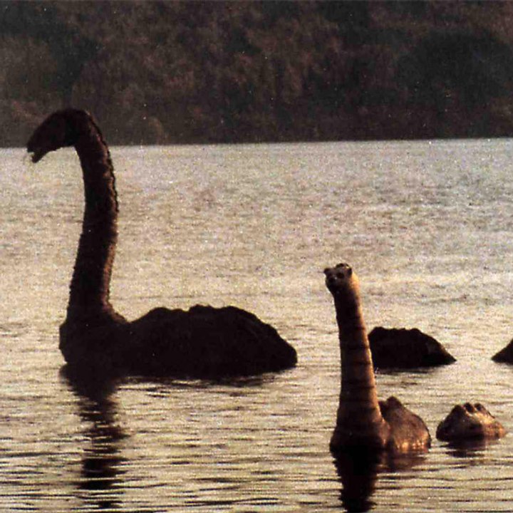 Monster von Loch Ness in Cumbria gesichtet