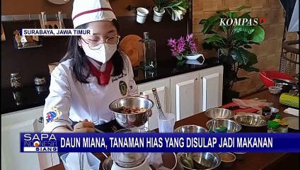 Unik! Tanaman Hias Daun Miana Disulap jadi Makanan Bebas Kolesterol