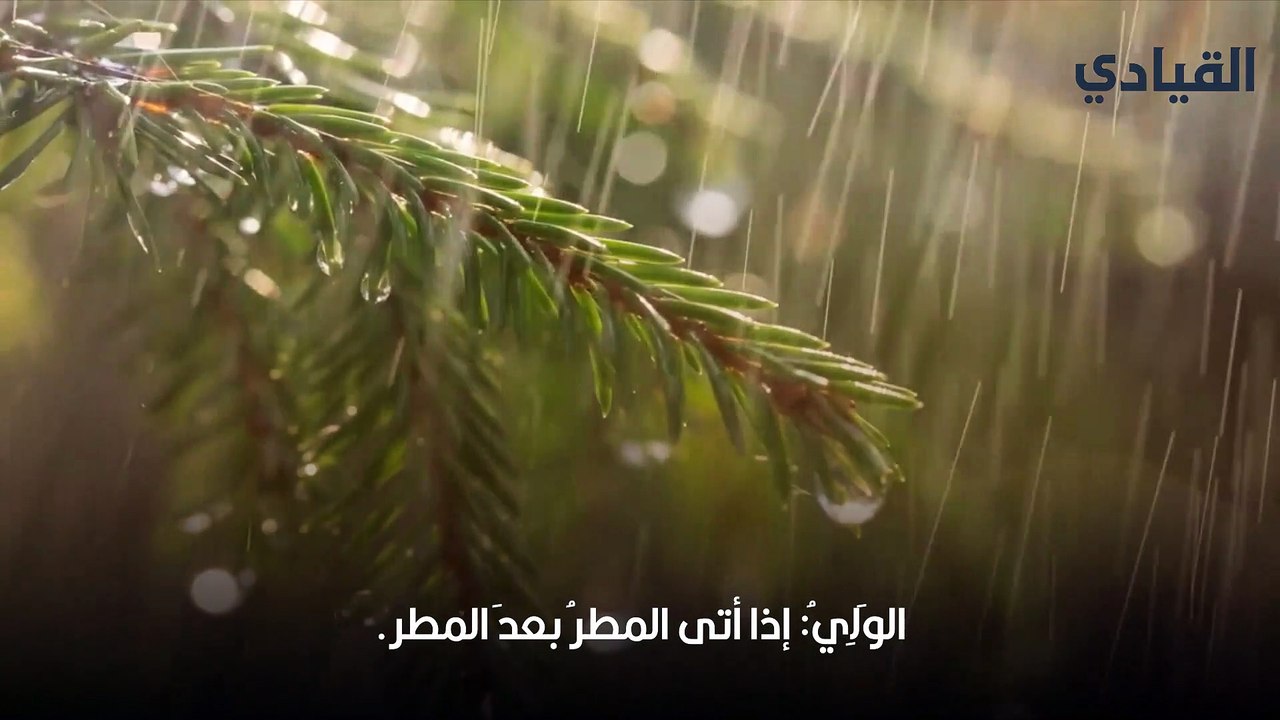 اسماء المطر