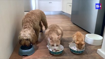 Ce qui va changer ce 1er juillet 2022 en Belgique