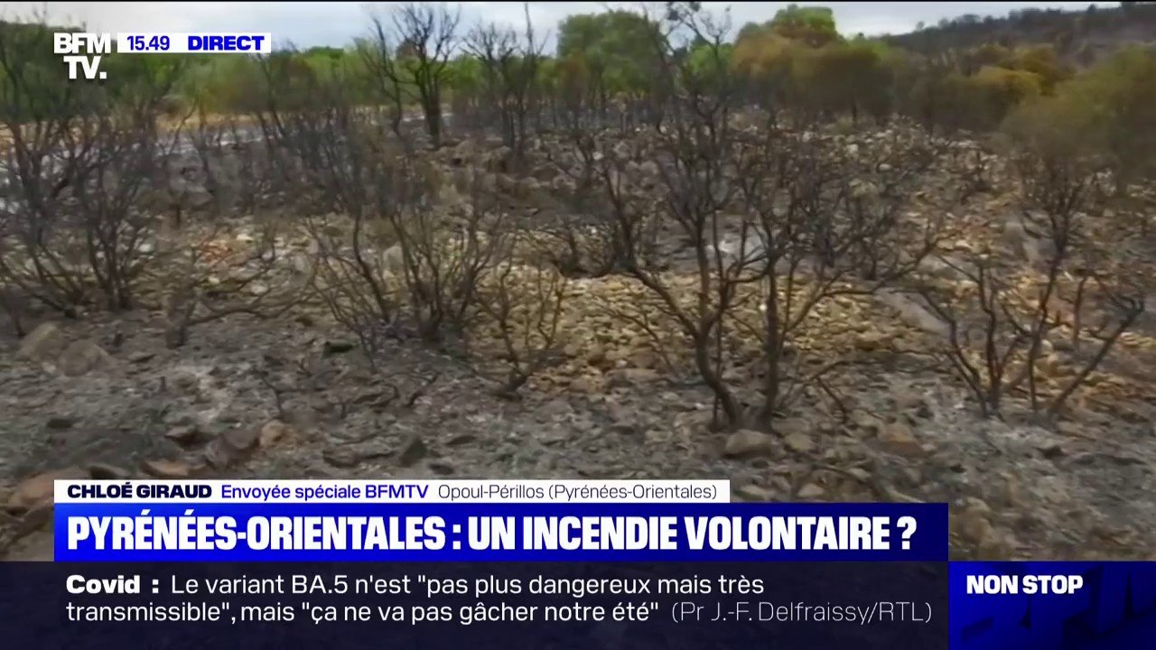 Incendie dans les Pyrénées-Orientales: les orig...