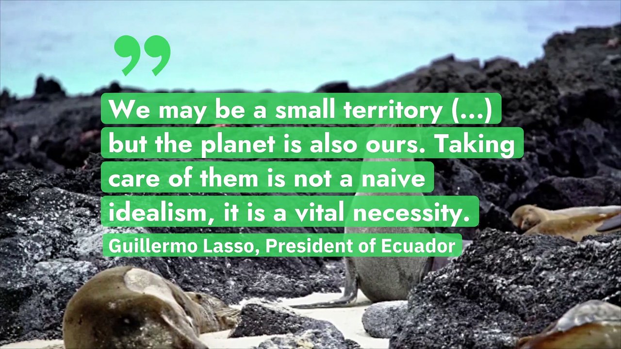 Ecuador: nearly 60% more area for the Galapágos marine reserve