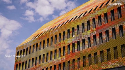 Cooperación en la medicina de la Unión Europea para tratar las 'enfermedades raras'