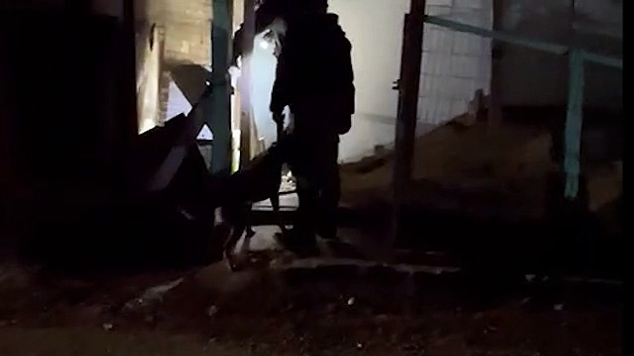 Polícia Civil cumpre mandados de busca e apreensão em Quedas e Palmas