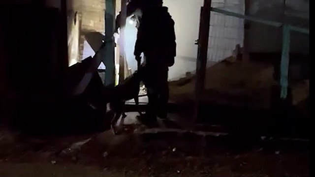 Polícia Civil cumpre mandados de busca e apreensão em Quedas e Palmas
