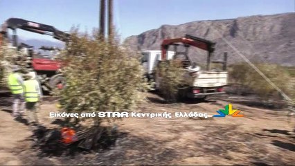 Η πυρόπληκτη Φωκίδα από ψηλά...εντυπωσιακό video