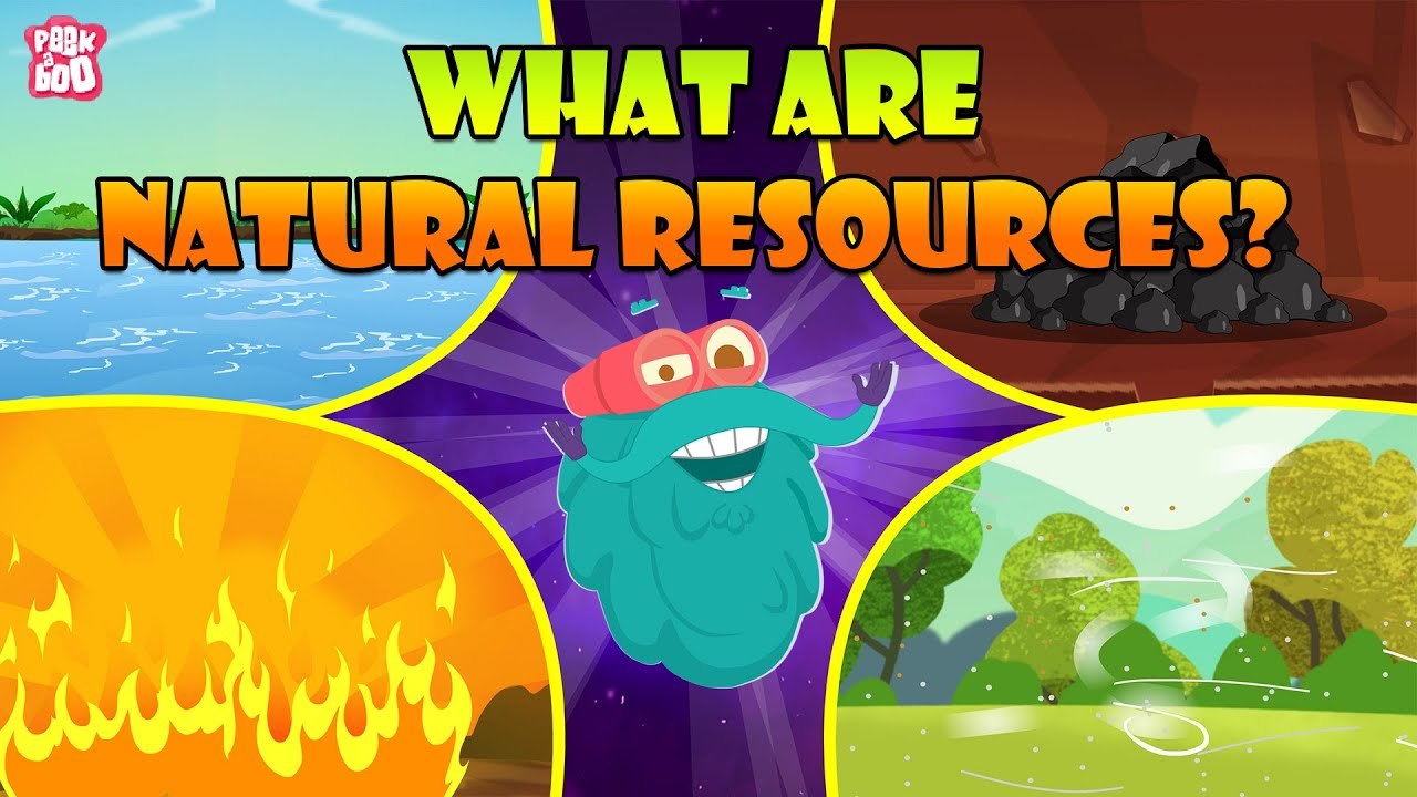 What Are Natural Resources Types Of Natural Resources The Dr