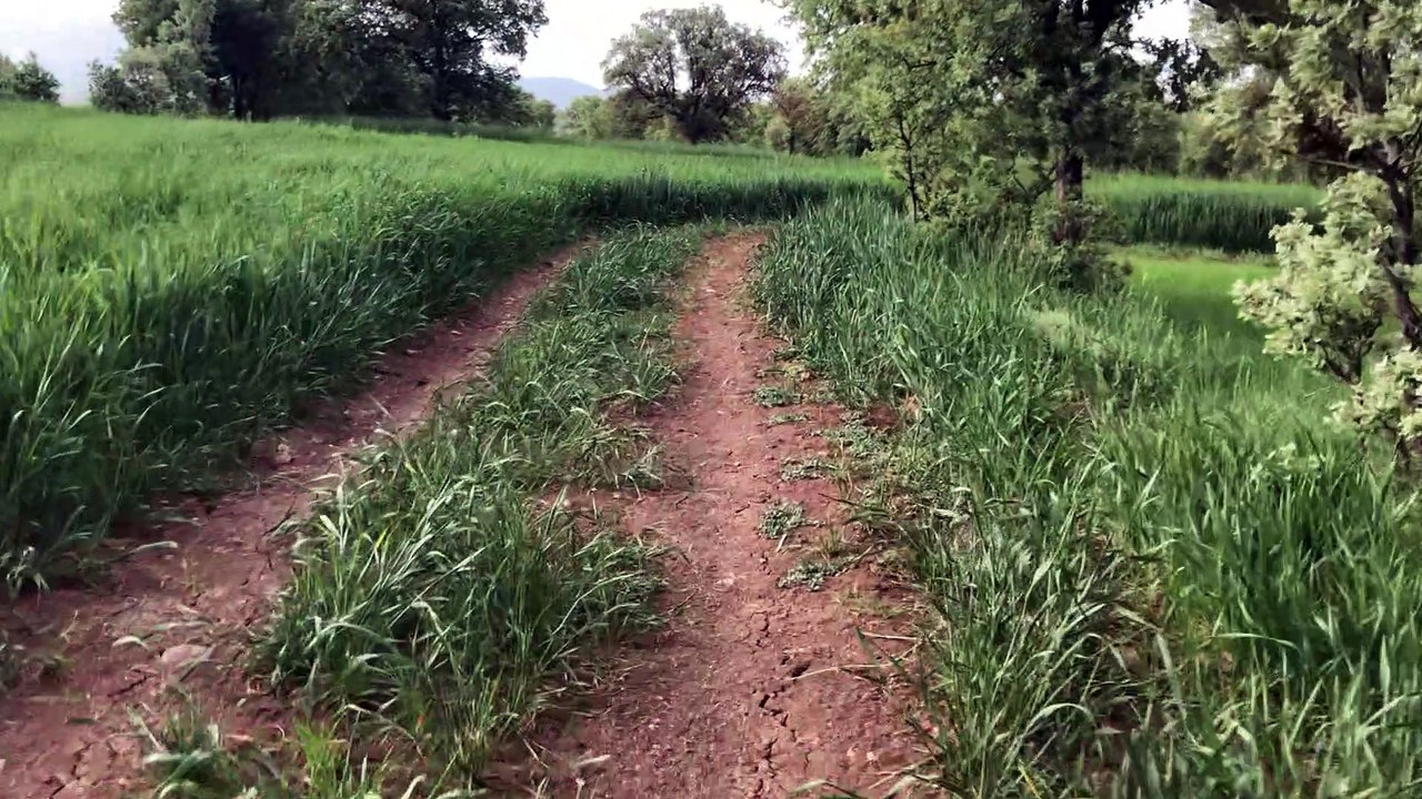 Köy Hayatı Nasıldır? Köydeki Eyaletler Gerçek mi? Köyde Yaşamak Zor mu? Köydeki İnsanlar Ne Yapıyor? Eyaletler Arası Buluşmalar Nasıl Gerçekleşiyor? Hepsi Ve Daha Fazlası Burda