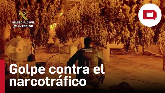 La Guardia Civil desmantela un grupo delictivo dedicado al cultivo ilícito de marihuana