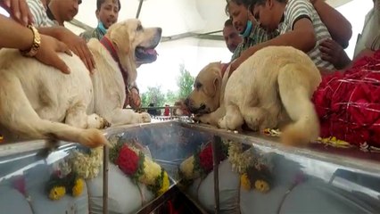 Chandrashekar Gurujiಯ ಪ್ರೀತಿಯ ಪ್ರಿನ್ಸ್ ಕಂಬನಿ ಮಿಡಿದಿದ್ದು ಹೀಗೆ | *Karnataka | OneIndia Kannada