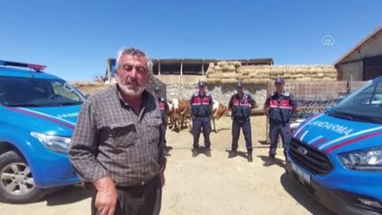 Çalınan 8 büyükbaş bulunarak sahibine teslim edildi