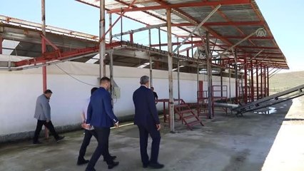 Çubuk'ta 118 kurban kesim yerine geçici ruhsat verildi