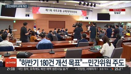 교통 규제 민간 주도 수술…무규제 '드론공원' 조성