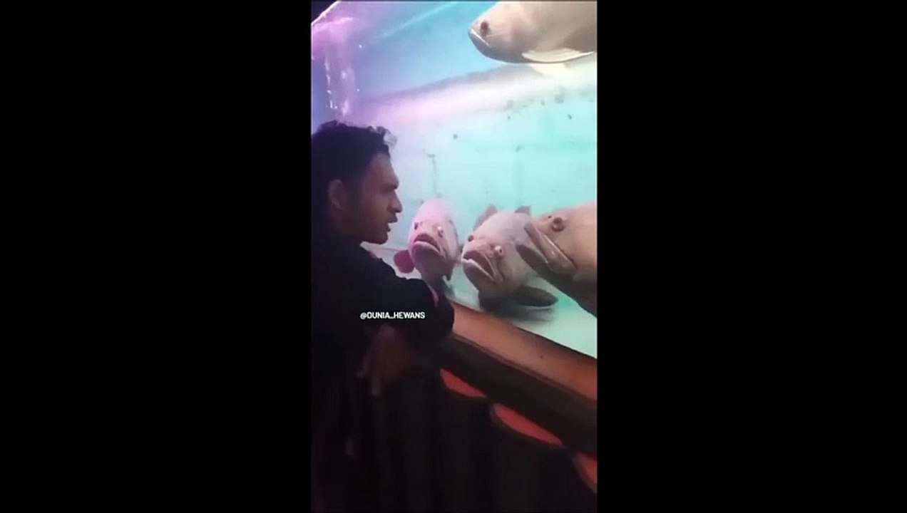 Mais qu'est-ce qu'il peut bien raconter à tous ces poissons