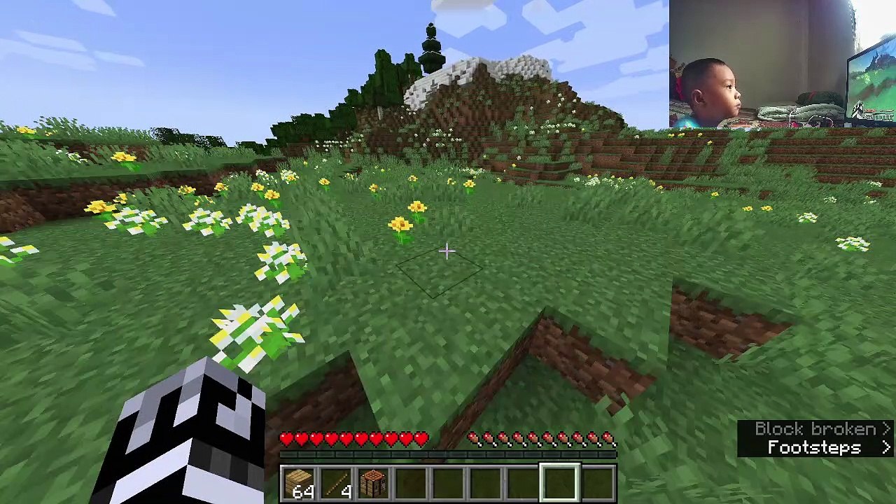 i am play minecraft - gameplay online