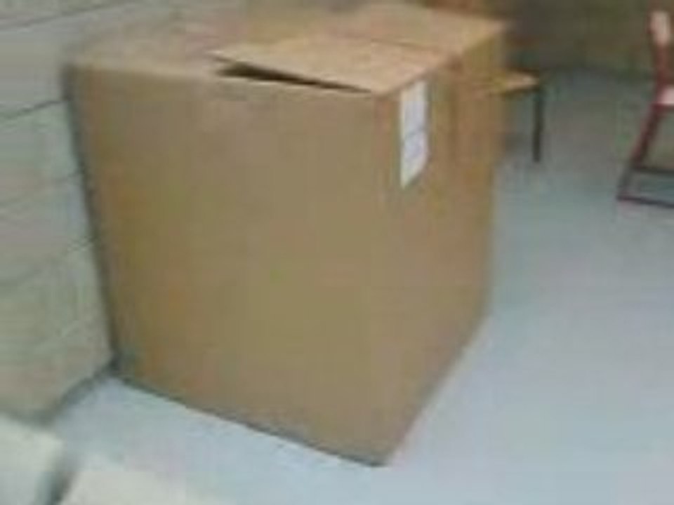 Carton