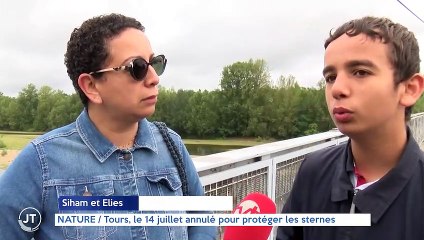 NATURE / Les sternes menacés par la brusque montée de la Loire