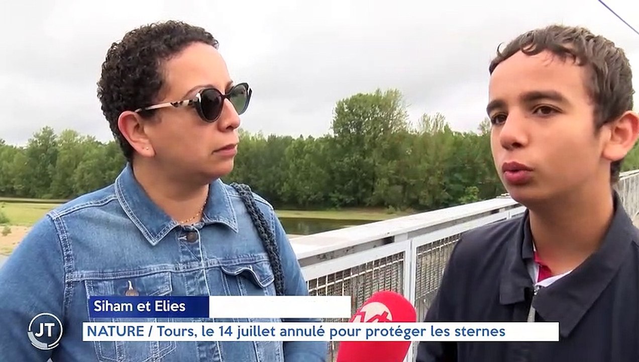 NATURE / Les sternes menacés par la brusque montée de la Loire