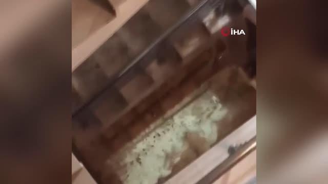 Son dakika... Evinde sel sularına yakalanan kadın hayatını kaybetti...Sel sularının binaya dolduğu anlar kamerada