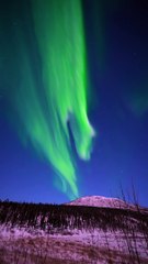Giant Alaskan Real-Time Auroras