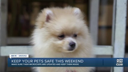 Pet safety tips for the July 4th holiday