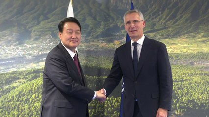 尹, 나토 총장 면담..."새 파트너십·대표부 개설로 협력 확대" / YTN