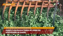 Piden a los productores de yerba no stockearse de gasoil