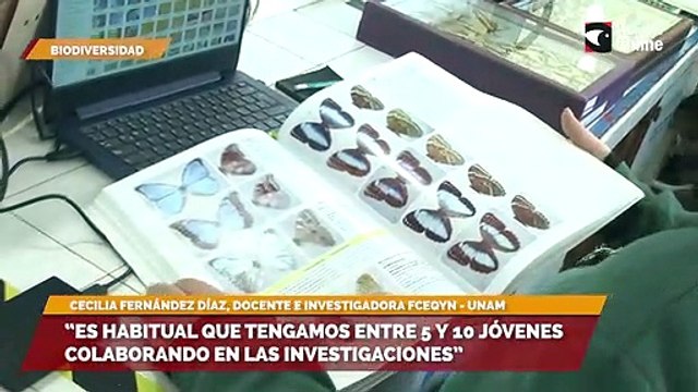 “Es habitual que tengamos entre 5 y 10 jóvenes colaborando en las investigaciones”