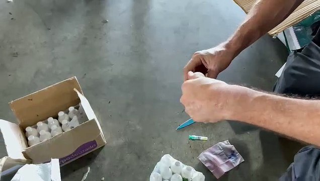 Mais de 3 kg de cocaína são apreendidos pela Receita Federal no Aeroporto de Fortaleza