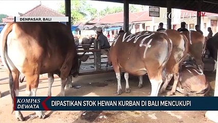 Stok Hewan Kurban Di Bali Dipastikan Mencukupi