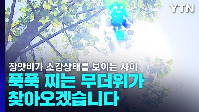 [날씨] 장마 소강, 다시 무더위...곳곳 요란한 소나기 / YTN