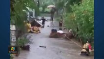 tn7-Mujer fue arrastrada por la corriente de un río que inundó su vivienda en San Carlos-300622