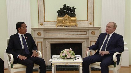 Putin niega toda responsabilidad por crisis alimentaria