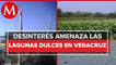 Empresas ponen en peligro las lagunas de agua dulce en Veracruz
