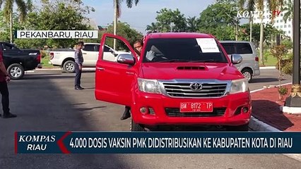 Tải video: 4.000 Dosis Vaksin PMK Didistribusikan Ke Kabupaten Kota Di Riau