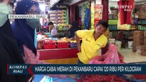 Harga Cabai Merah Di Pekanbaru Capai 120 Ribu Per Kilogram