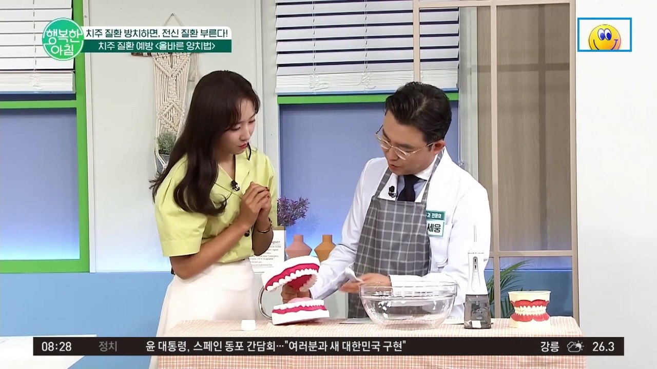 ★올바른 양치법★ 치아 사이사이에 남은 플라크는 어떻게 제거할까?