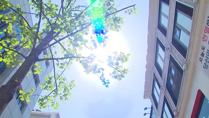 [날씨] 전국 무더위 기승...태풍 '에어리' 다음 주 직접 영향 / YTN