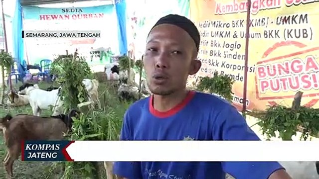 PMK, Pedagang Jual Hewan Kurban Mendekati Idul Adha