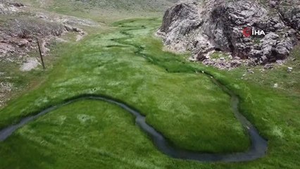 Eğriçayır Yaylası'nda kar sularının oluşturduğu mendereslerden mest eden görüntüler