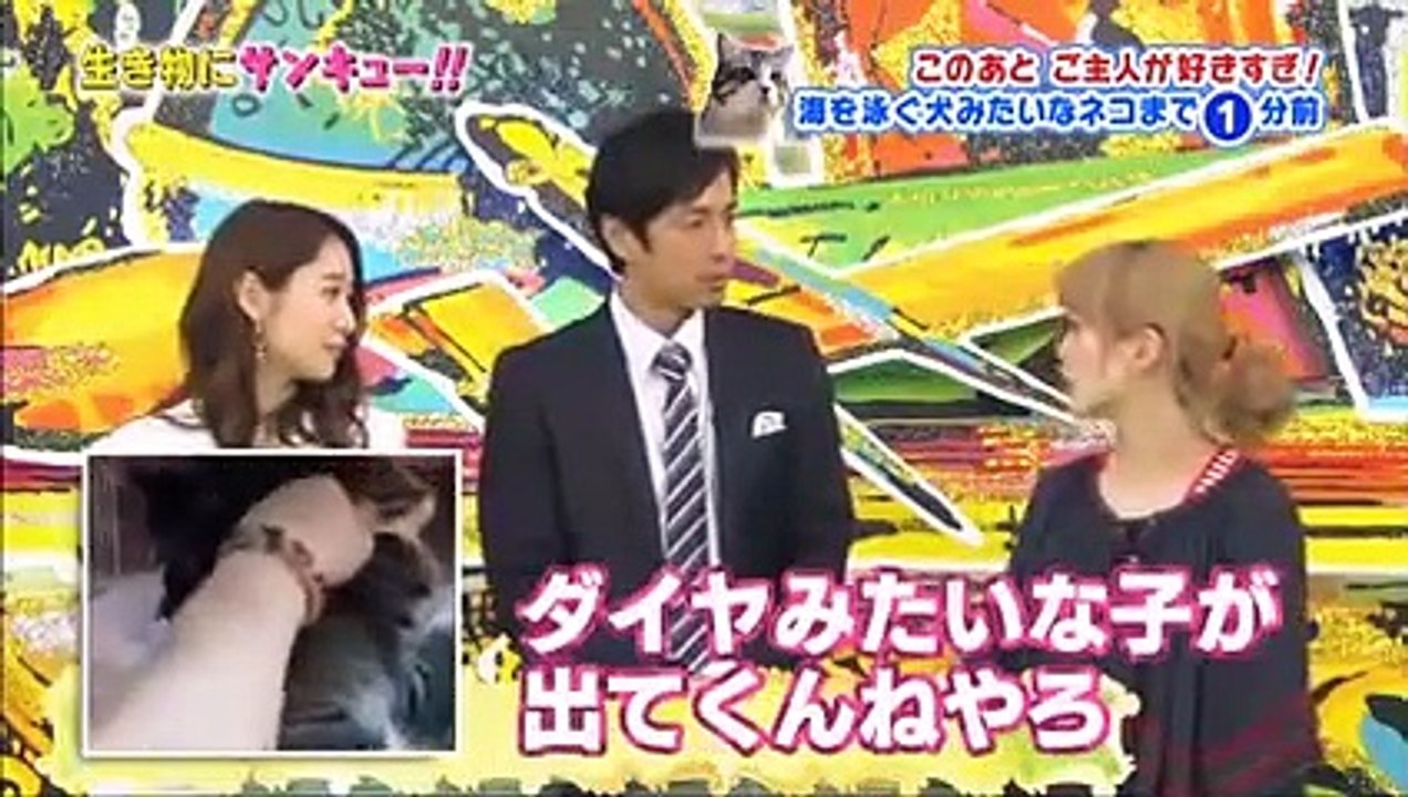 トコトン掘り下げ隊！生き物にサンキュー 2016年4月20日 ネコや犬の心がわかる・2時間SP