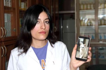 Elazığ'da kaybolan kedisini sokak sokak arıyor