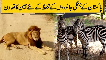 Pakistan k jungli janwaro k tahaffuz k Liye Cheen ka taawun