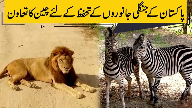 Pakistan k jungli janwaro k tahaffuz k Liye Cheen ka taawun