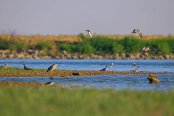 KUŞ CENNETİ GİBİ ÜNİVERSİTE